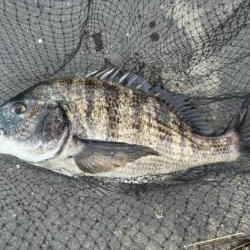 イチノ兄弟、釣果!