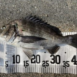 イチノ兄弟、釣果!