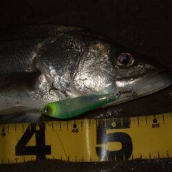 流れの効くタイミング