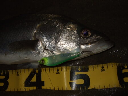 流れの効くタイミング