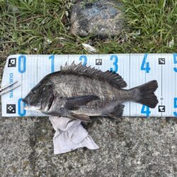 今日も爆釣楽し過ぎるぶっ込み釣り