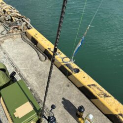 フル遠投カマス