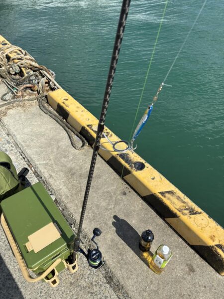 フル遠投カマス