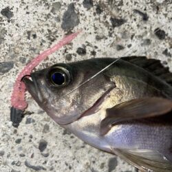 爆風ライトゲーム