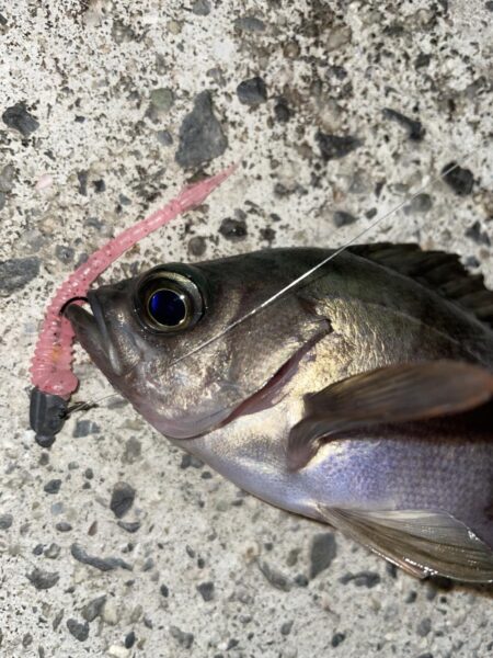 爆風ライトゲーム