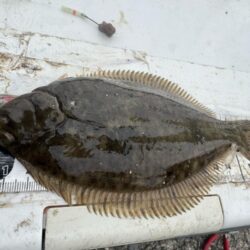 ここでも釣れる