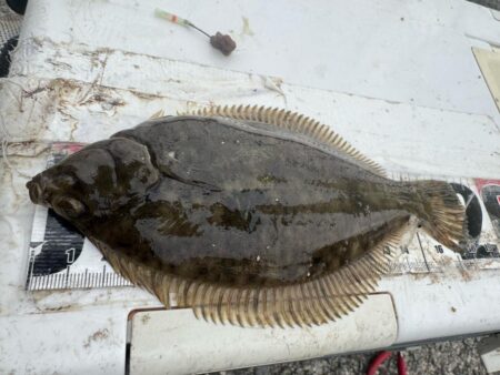 ここでも釣れる