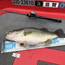 今シーズン1号北山田60cm4100g