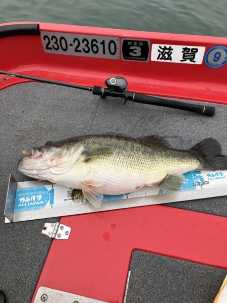 今シーズン1号北山田60cm4100g