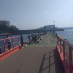 満員御礼サビキ釣り