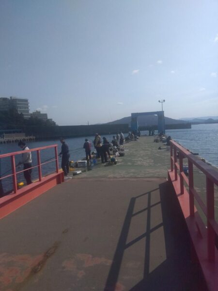 満員御礼サビキ釣り