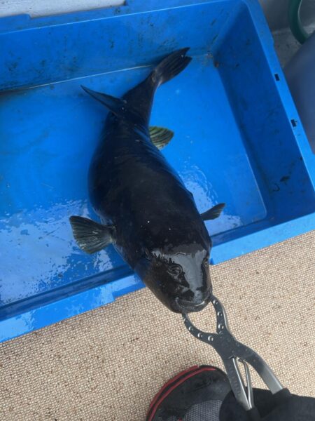 日本海ジギング