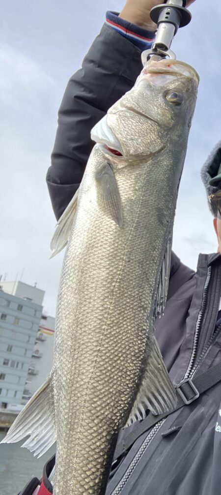 シーバス釣り