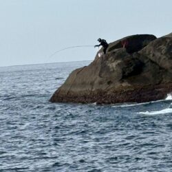 和歌山県串本で磯釣りトーナメント
