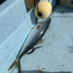 タイラバとティップラン