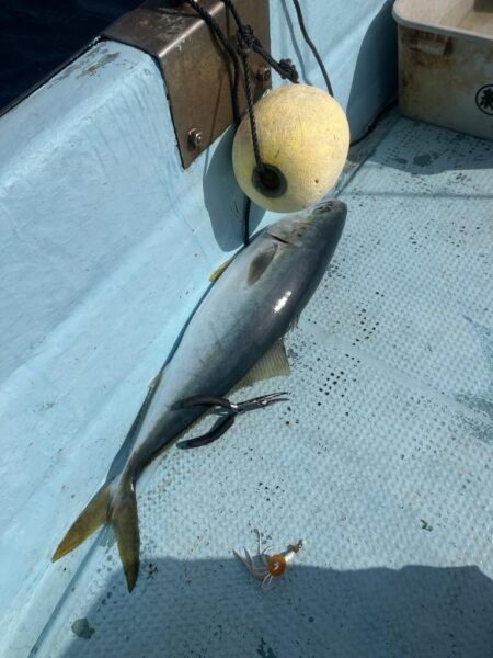 タイラバとティップラン