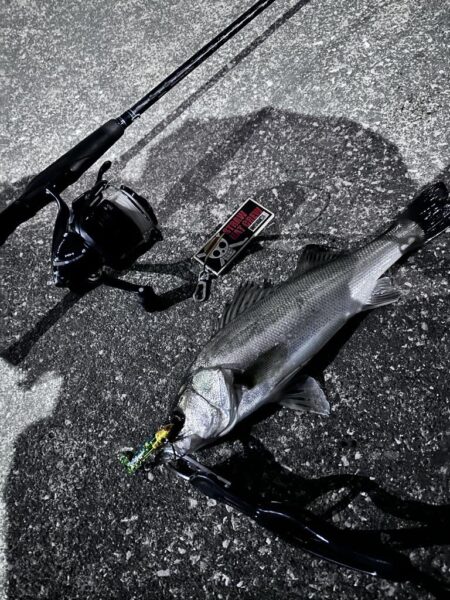 明暗への流し込み方がキモだった！