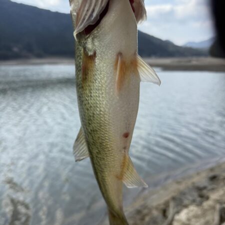 プリスポーン⁉️