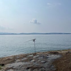 エギングのはずがヤエン