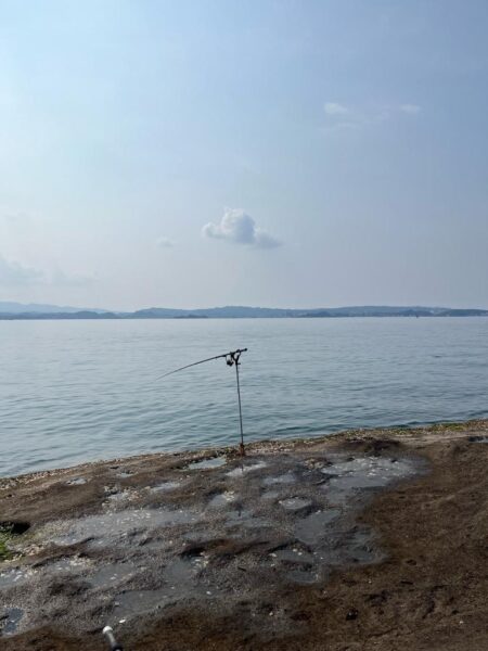 エギングのはずがヤエン