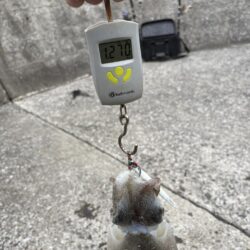 ショアジギング？