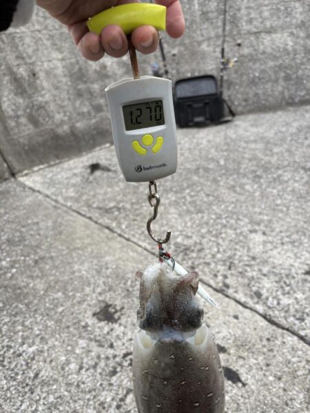 ショアジギング？