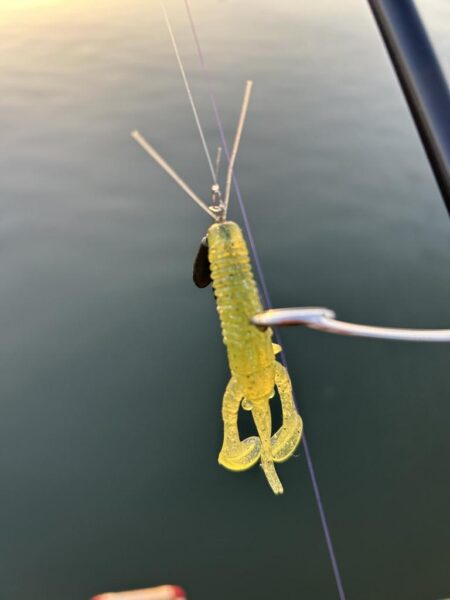 やっと今年2枚目！