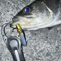 遠距離砲でのボトムドリフト！