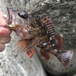 2026.No.6 ライトゲーム