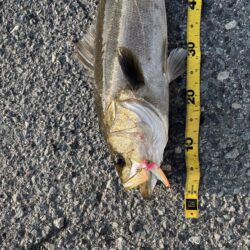 ショアジギング　6