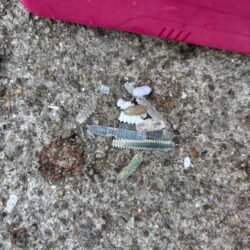 アジングプチ遠征