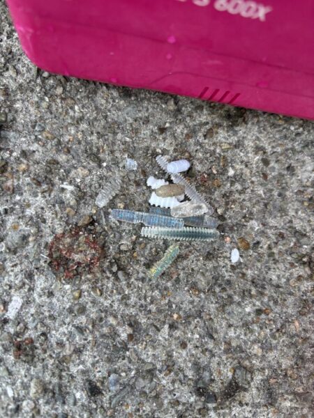 アジングプチ遠征