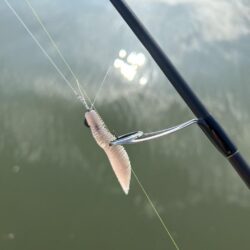 ハゼクラロッドで…