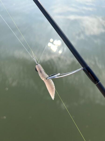 ハゼクラロッドで…