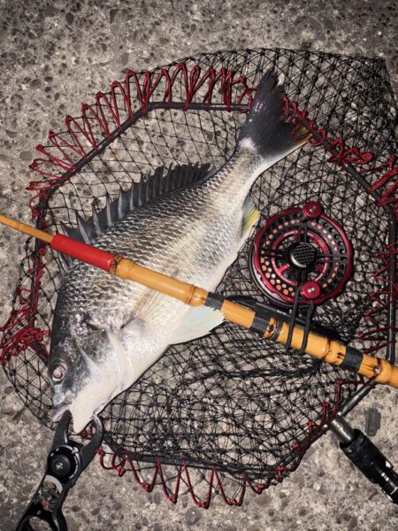 ヘチってきました