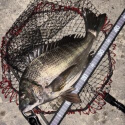 ヘチってきました