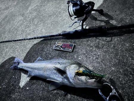 大潮三日目の爆風撃！