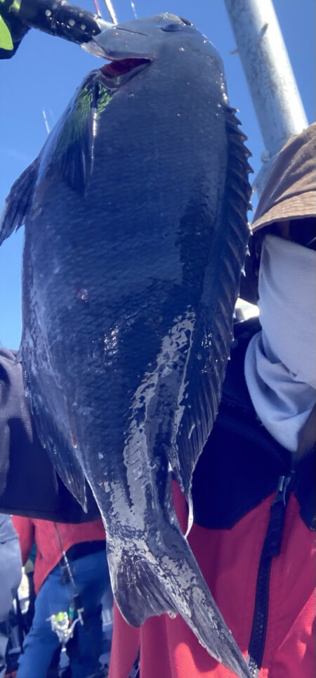 旬のグレジギング！