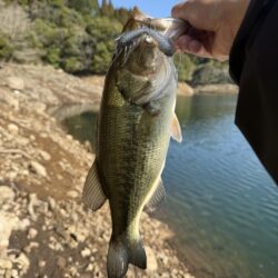 プリスポーン⁉️