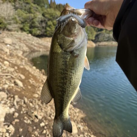 プリスポーン⁉️