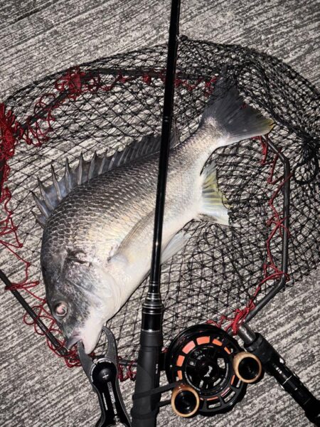 ヘチってきました