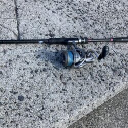 ダイソーメタルジグで良型エソGET