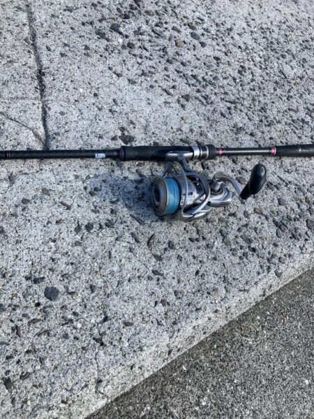 ダイソーメタルジグで良型エソGET