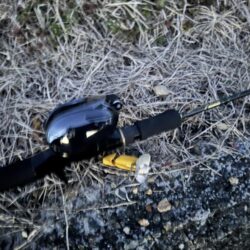 ナマズ開幕確定！！