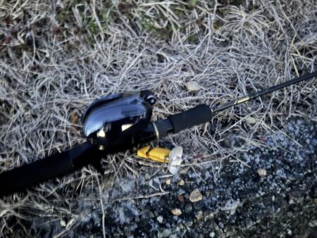 ナマズ開幕確定！！