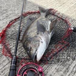 ヘチってきました