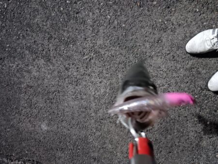 シーバス3匹（45cm〜50cm）