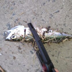 ボウズ覚悟でしたが、