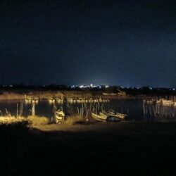 久しぶりのシーバス