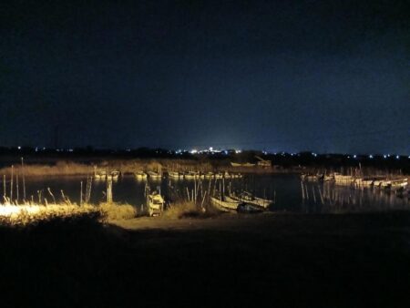 久しぶりのシーバス